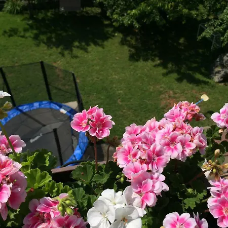 Apartment Spacious Sea View With Garden In *